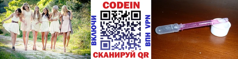 Купить где  Анива  Кодеин Purple Drank 