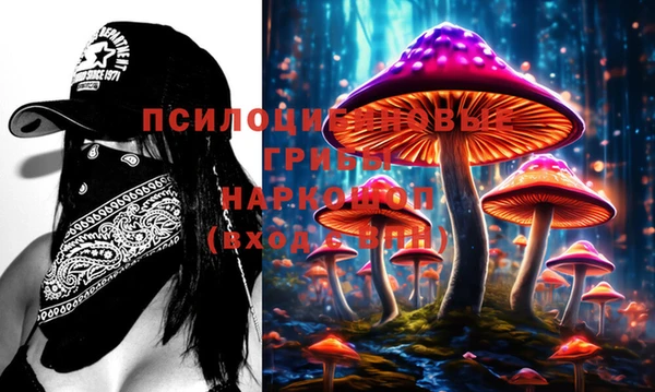 стаф Михайлов