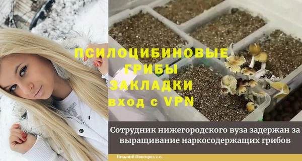 дживик Мегион