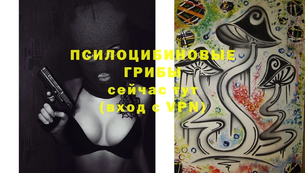 дживик Мегион