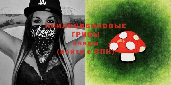 стаф Михайловск