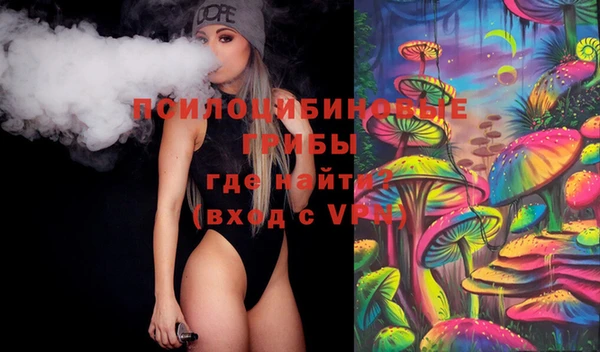 дживик Мегион