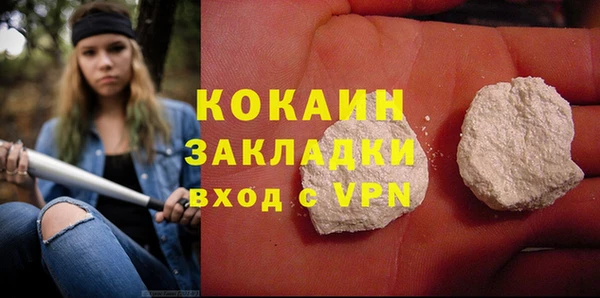дживик Мегион