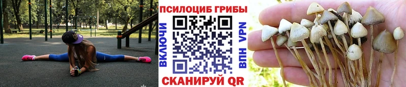 Галлюциногенные грибы ЛСД  Купить  Анива 